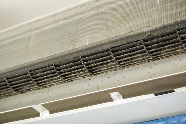 Best Home Air Vent Cleaning  in New Albany, OH